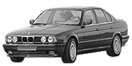 BMW E34 P3410 Fault Code